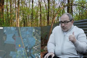 ​Оточення Кернеса вкрало у харків'ян лісопарк?