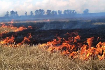 ​За умисний підпал стерні на площі понад 50 га чоловіку загрожує до 5 років позбавлення волі