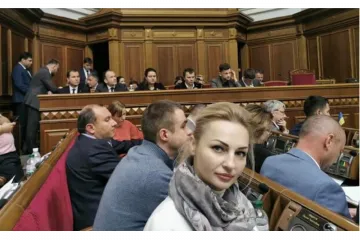 ​Нардеп от "Слуги народа" задекларировала Infinity как сельхозтехнику