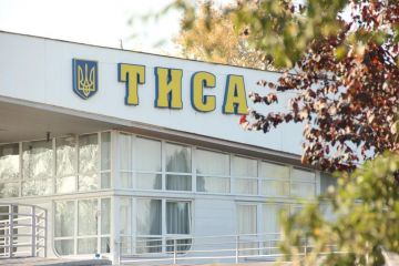 ​Журналісти з'ясували, скільки закарпатські митники кладуть у свої кишені, а не в бюджет України (відео)
