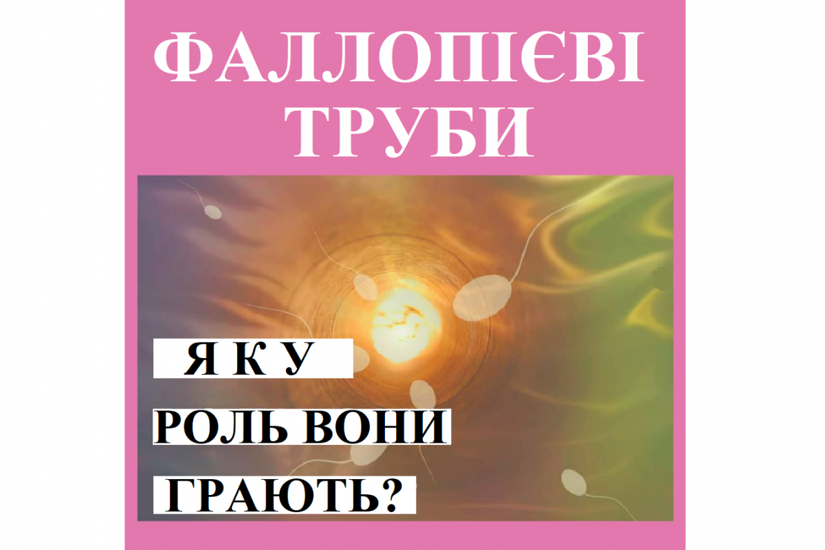 Репродуктолог Київ: Фаллопієві труби, яку роль вони відіграють?