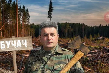 ​Від 5 євро «відкату» за кубометр: головного лісівника Тернопільщини звинувачують у незаконних вирубках