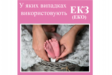 ​Репродуктолог Київ: У яких випадках використовують ЕКЗ (ЕКО)