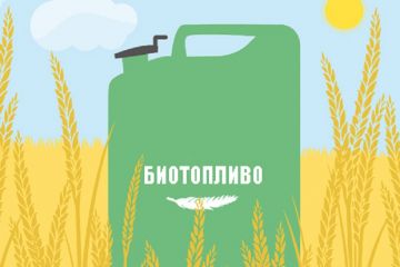 ​Минэнерго планирует освободить компании, производящие энергию из биотоплива, от уплаты налога за выбросы